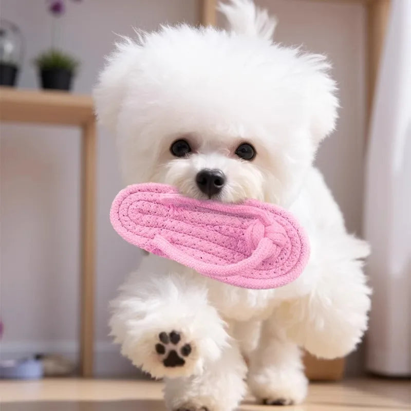Pet Interactive Chewing Toy Cotton Slipper Rope for Small to Large Dogs Teeth Training Molar Dog Accessory - Pet Supplies from Linloft.