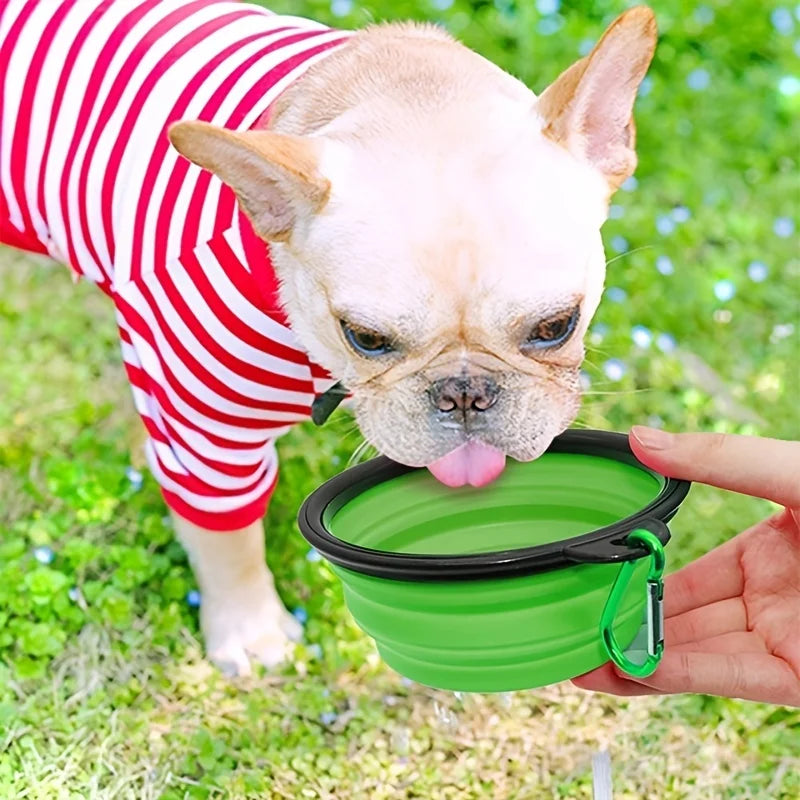 Collapsible Silicone Pet Food Bowl