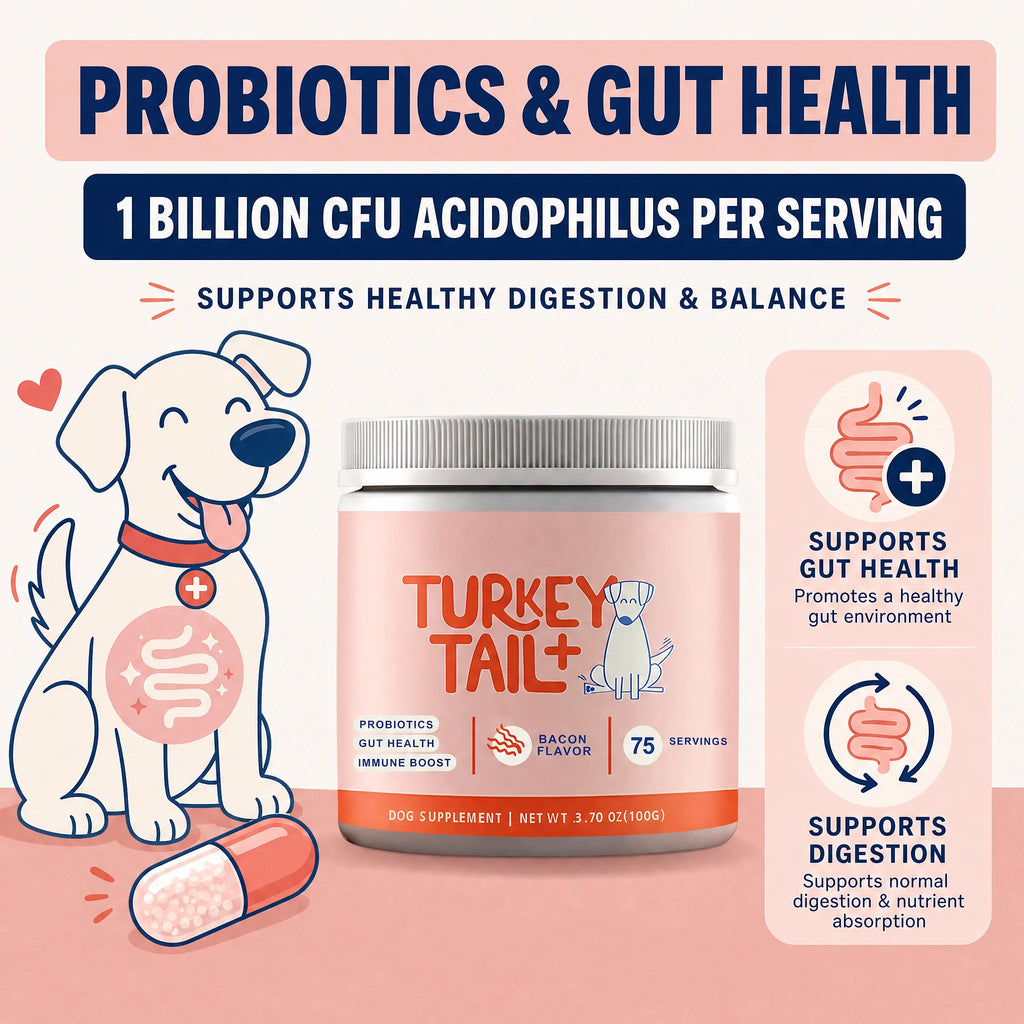 Dog Probiotic Soft Granules with Turkey Tail Mushroom&Vitamin Bacon Flavor Digestive Supplement Gut Health Daily Pet Nutrition - Pet Supplies from Linloft.