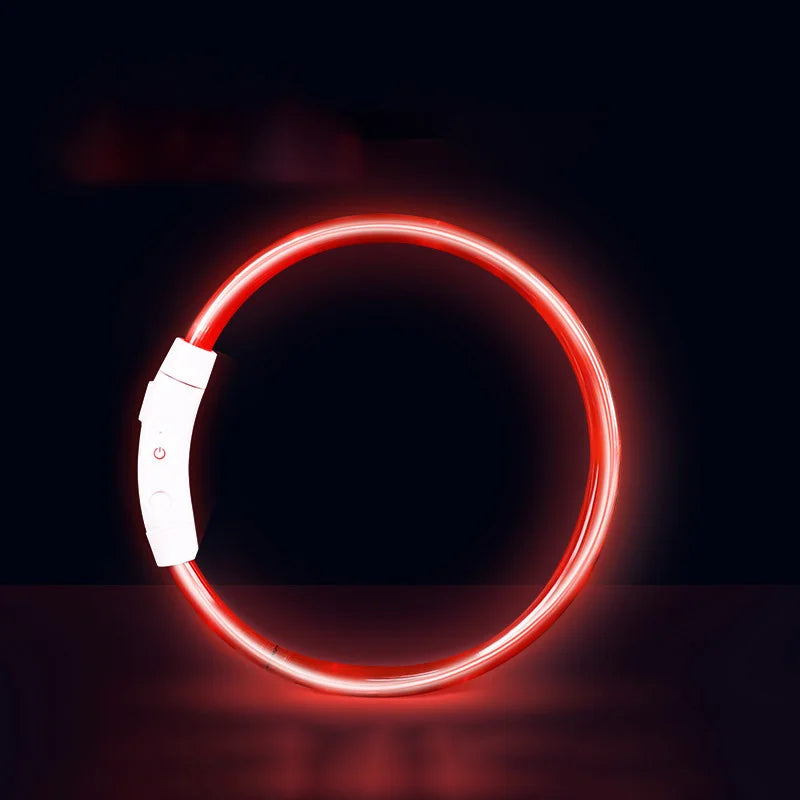 Pet Dog Cat LED Light Collar Luminous Anti-Lost Dog Collar USB Rechargeable Dog Necklace Collar Night Identification Collar - Pet Supplies from Linloft.