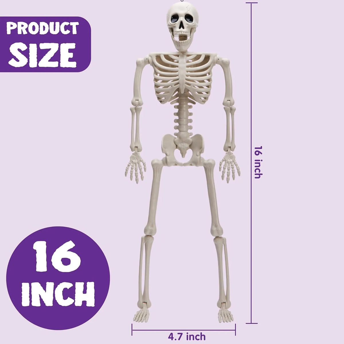 5pcs Halloween Skeleton Decorations, 16 inches, Photobooth Props for Party Events, full-body movable joints, for Halloween decoration, graveyard props, haunted house accessories, horror scenes, the best props for photography - Party & Stage Lighting from Linloft.