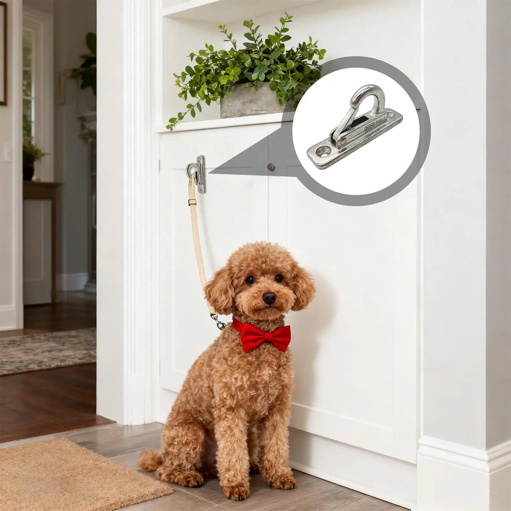 Heavy Duty Stainless Steel Dog Leash Holder Wall Mounted Secure Indoor Outdoor Use Enclosed Pet Tie out Hook Easy Install - Pet Supplies from Linloft.