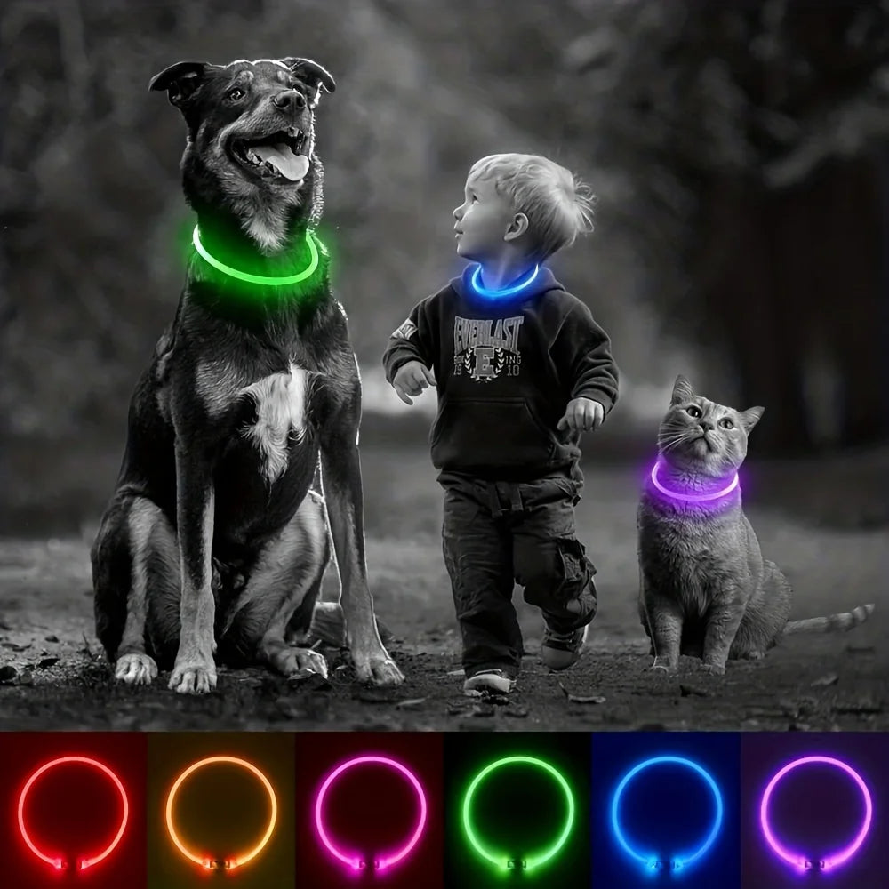 Pet Dog Cat LED Light Collar Luminous Anti-Lost Dog Collar USB Rechargeable Dog Necklace Collar Night Identification Collar - Pet Supplies from Linloft.