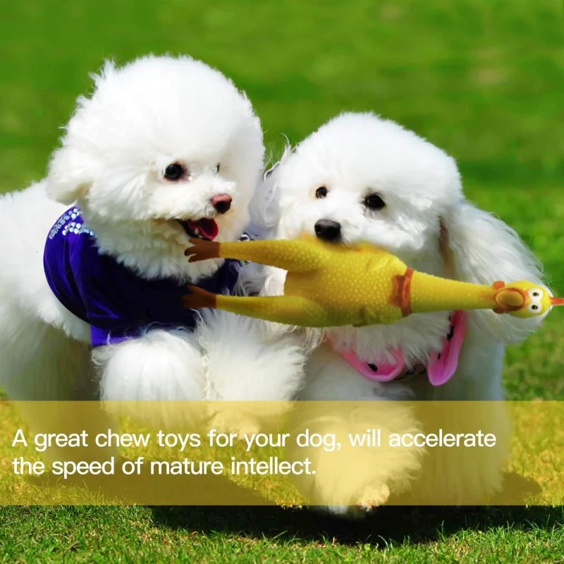 2 Pcs Screaming Chicken Dog Toy Latex Squeaky Chew Toy Bite Resistant Molar Interactive Training Pet Vent Toy - Pet Supplies from Linloft.