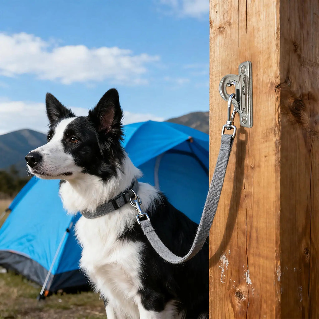 Heavy Duty Stainless Steel Dog Leash Holder Wall Mounted Secure Indoor Outdoor Use Enclosed Pet Tie out Hook Easy Install - Pet Supplies from Linloft.