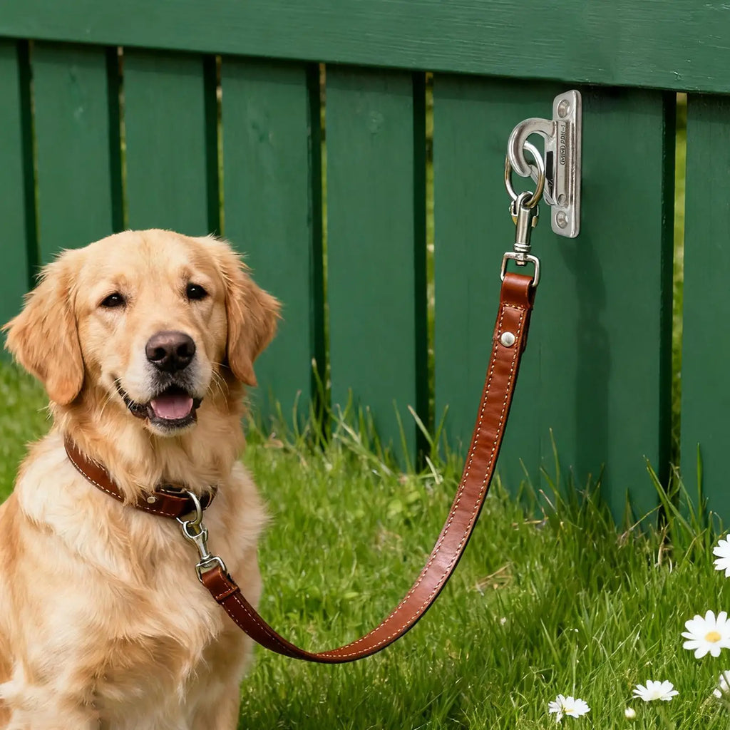 Heavy Duty Stainless Steel Dog Leash Holder Wall Mounted Secure Indoor Outdoor Use Enclosed Pet Tie out Hook Easy Install - Pet Supplies from Linloft.