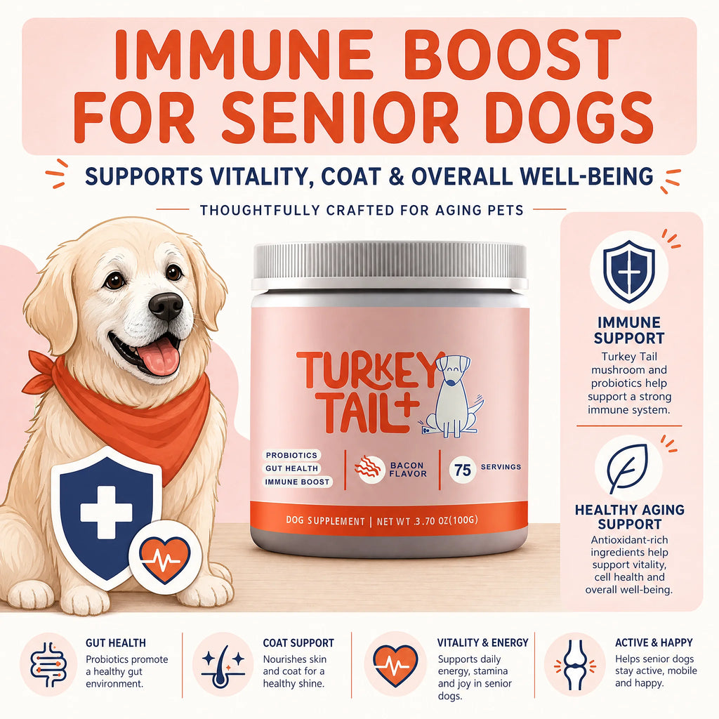 Dog Probiotic Soft Granules with Turkey Tail Mushroom&Vitamin Bacon Flavor Digestive Supplement Gut Health Daily Pet Nutrition - Pet Supplies from Linloft.